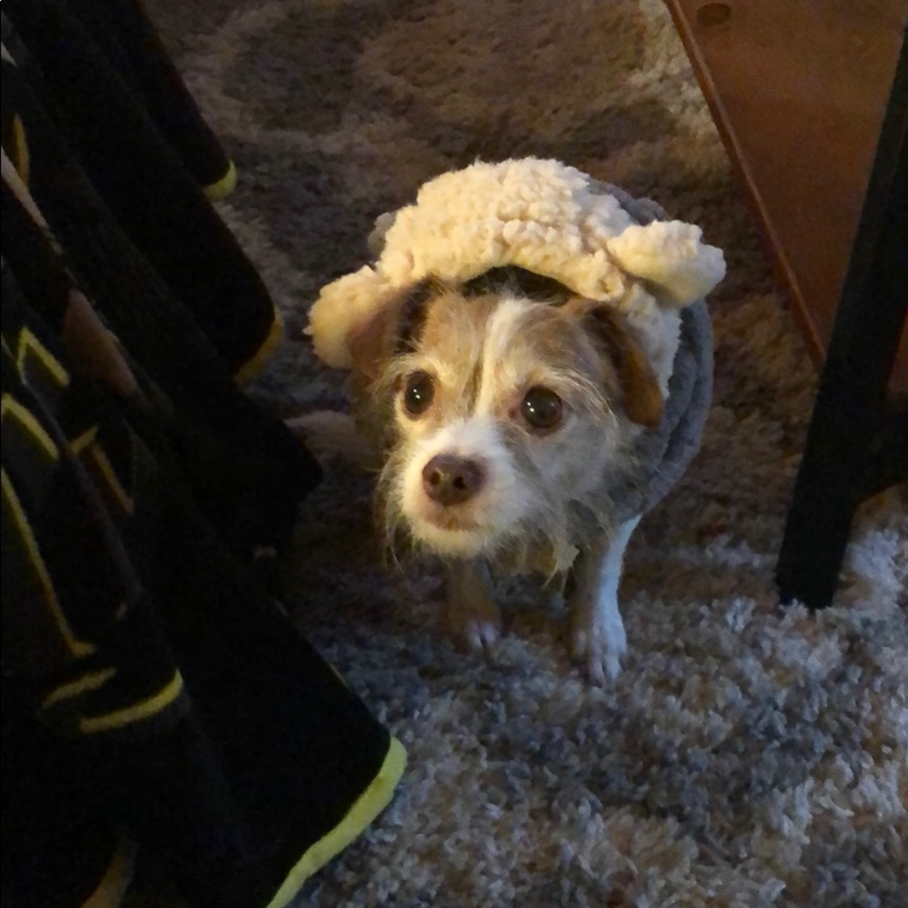 Meet your Posher, Kate